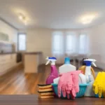 move in cleaning service