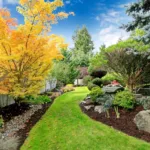 Hire Professional Landscaping Services: Why and How