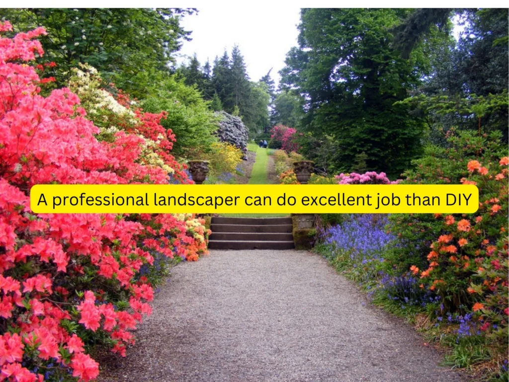 hire professional landscaping services in Nairobi, Nakuru, Mombasa, and Kisumu