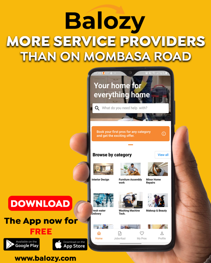 Balozy service providers