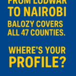 🧑🏽‍🔧 County-Level Hustler Stories in Kenya: From Nyeri to Nanyuki with Balozy’s Verified Pros