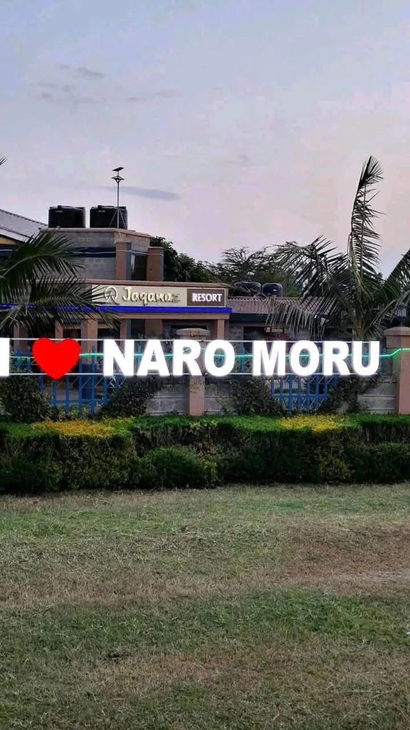 🚀 Balozy Is Calling Nyeri, Naro Moru, Nanyuki & Meru: Are You the Pro We’re Looking For?