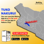 Hire Trusted Local Service Providers in Kenya – Verified Pros on Balozy