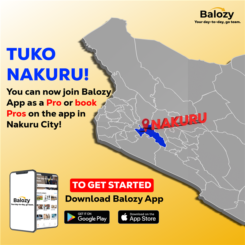 Hire Trusted Local Service Providers in Kenya – Verified Pros on Balozy
